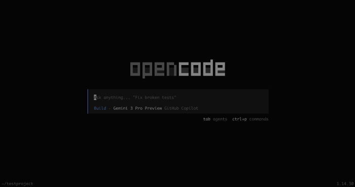 The OpenCode interface