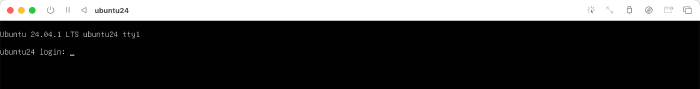 The Ubuntu VM showing a login prompt