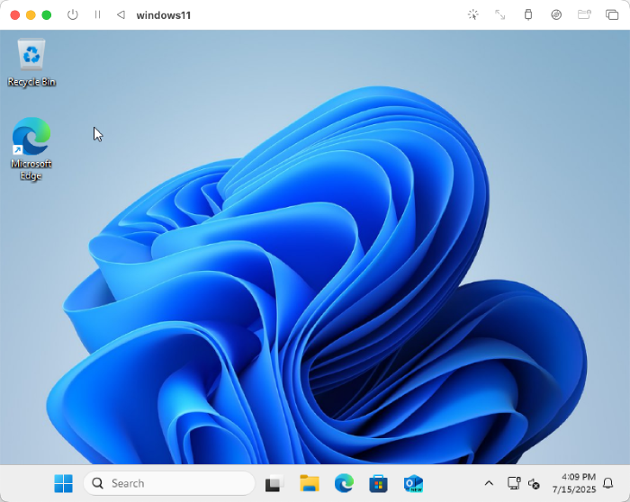 The Windows 11 machine running in Vagrant